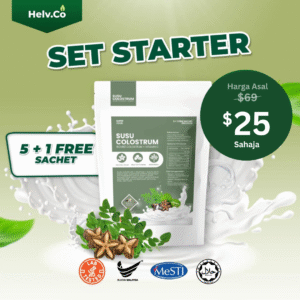 Set Starter